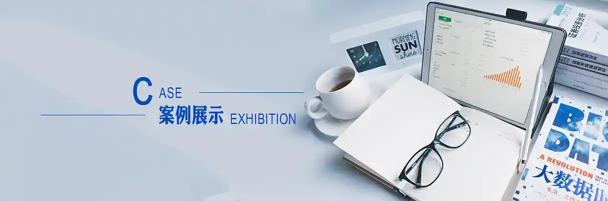 永登县软件开发